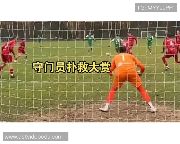 冰球比赛中守门员扑救选择行为与进攻模式对比 冰球比赛中守门员扑救选择行为与进攻模式对比